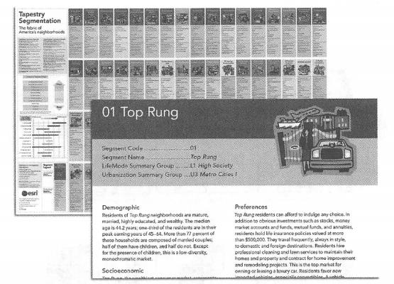 Esri's Tapestry Market Segment divides the U.S. community into 65 market segments based on demographic and socioeconomic characteristics, Describe the consumption power, consumption needs, living habits and life stages of each market